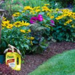 Will Preen Hurt Plants? What Every Gardener Should Know
