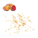 Can I Eat Prickly Pear Seeds? Everything You Need to Know About Prickly Pear Seeds