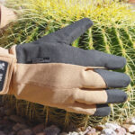 Gloves for Handling Cactus: The Best Gloves for Protecting Your Hands from Cactus Spines