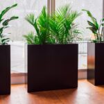 Rectangular Indoor Flower Pot: The Best Pots for Your Indoor Plants