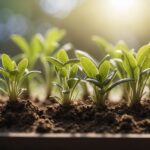 How to Use Root Powder for Better Plant Propagation