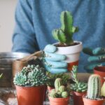 How to Keep Pets Away from Cacti: Tips and Tricks
