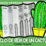 The Life Cycle of a Cactus: A Learning Guide for Students