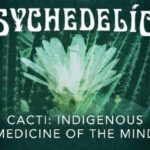 The History of Cacti in Traditional Medicine