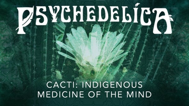 The History of Cacti in Traditional Medicine
