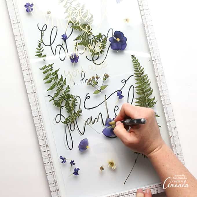How to Press Cactus Flowers for Crafts and Art