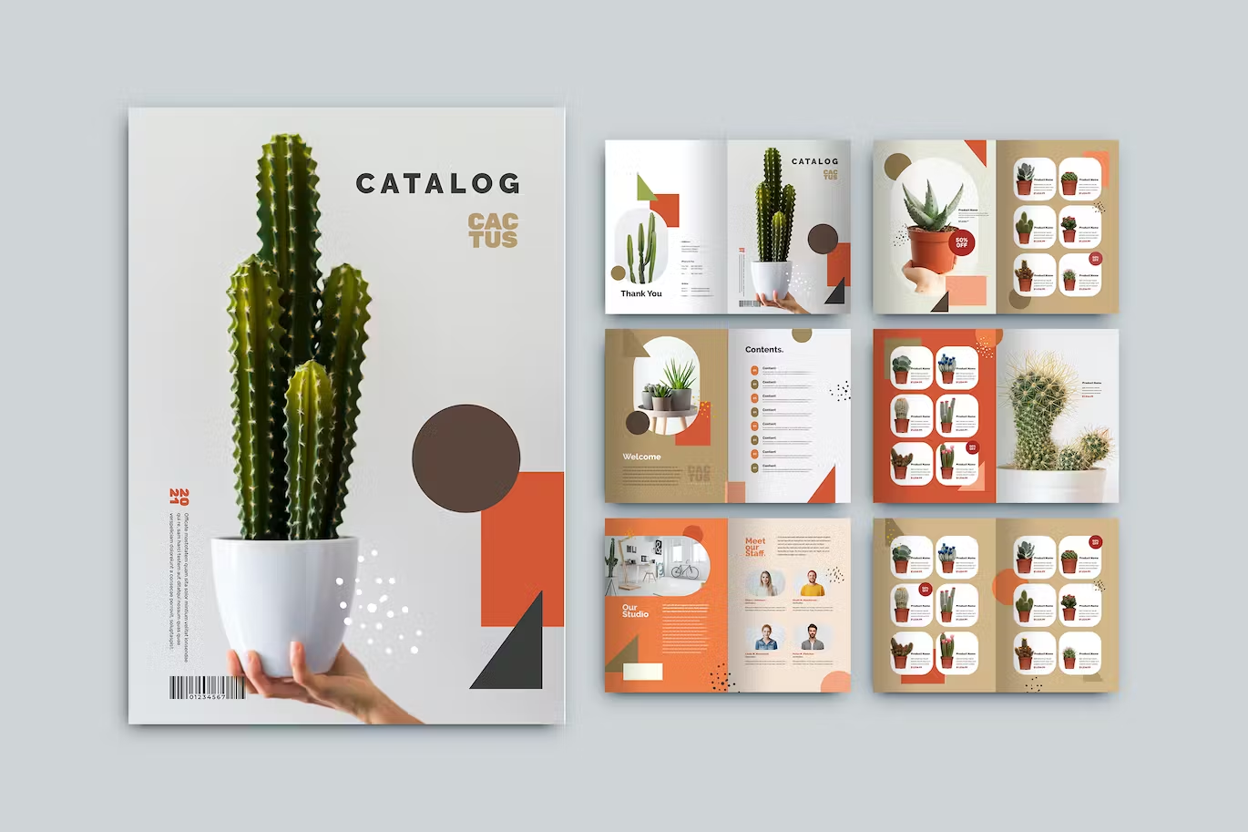 How to Create a Cactus Catalog for Wholesale Clients