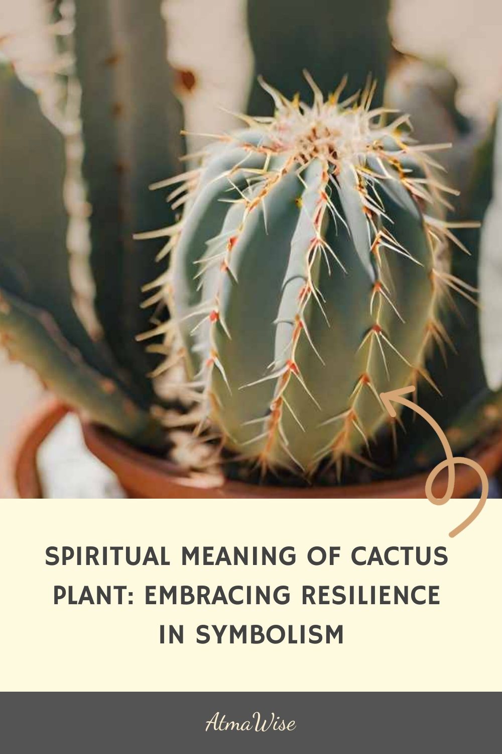 The Symbolism of Cacti in Literature: From Isolation to Resilience