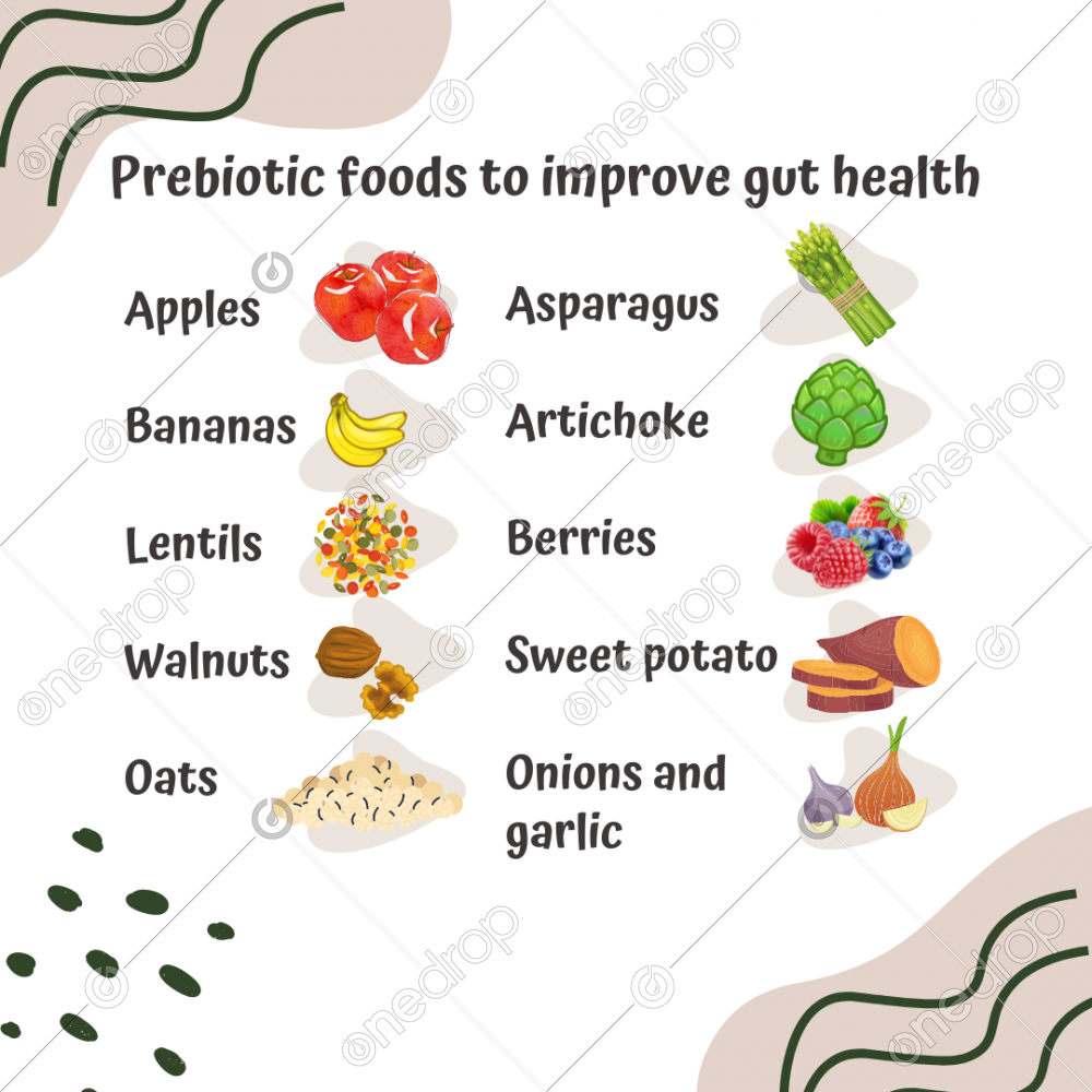 The Best Cactus for Gut Health: Probiotic and Prebiotic Benefits