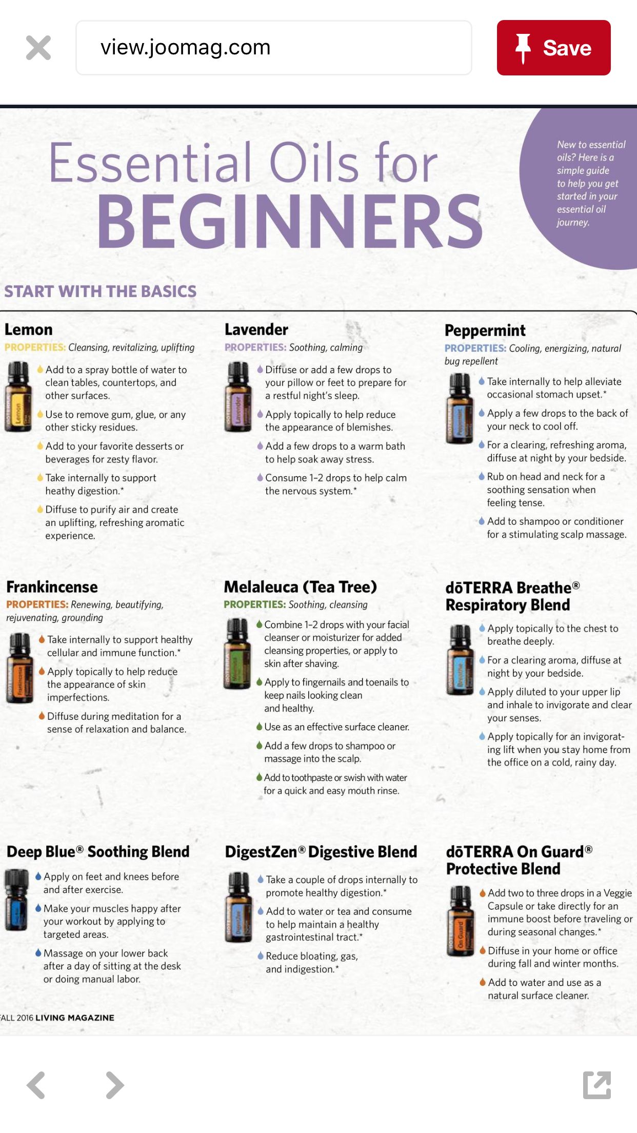 Cactus in Aromatherapy: Essential Oils and Their Benefits