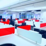Cactus in the Corporate Market: Supplying Offices and Businesses
