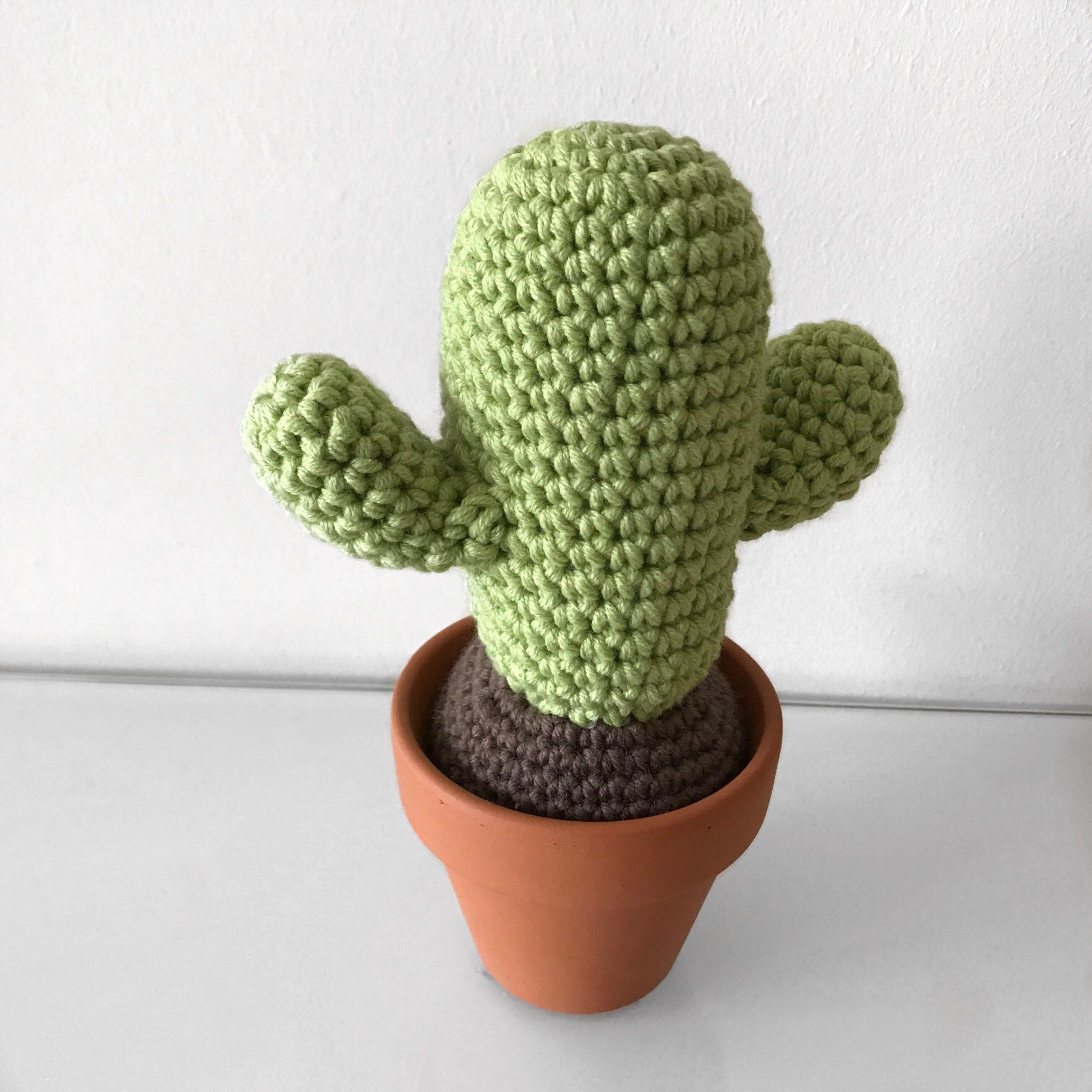 How to Knit or Crochet a Cactus: Patterns and Tips