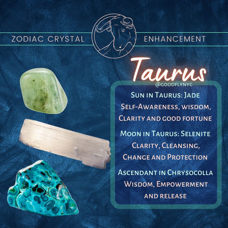 Cactus in Crystal Healing: Pairing Plants with Stones