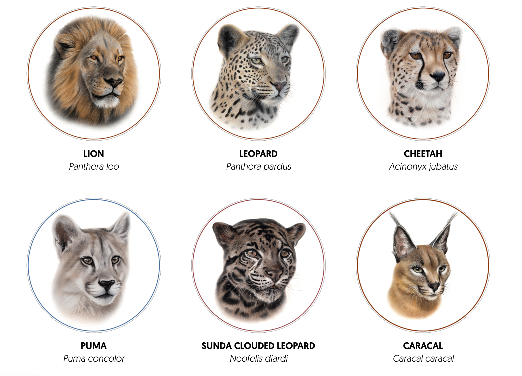 Cactus Tours: Guided Expeditions for Rare Species