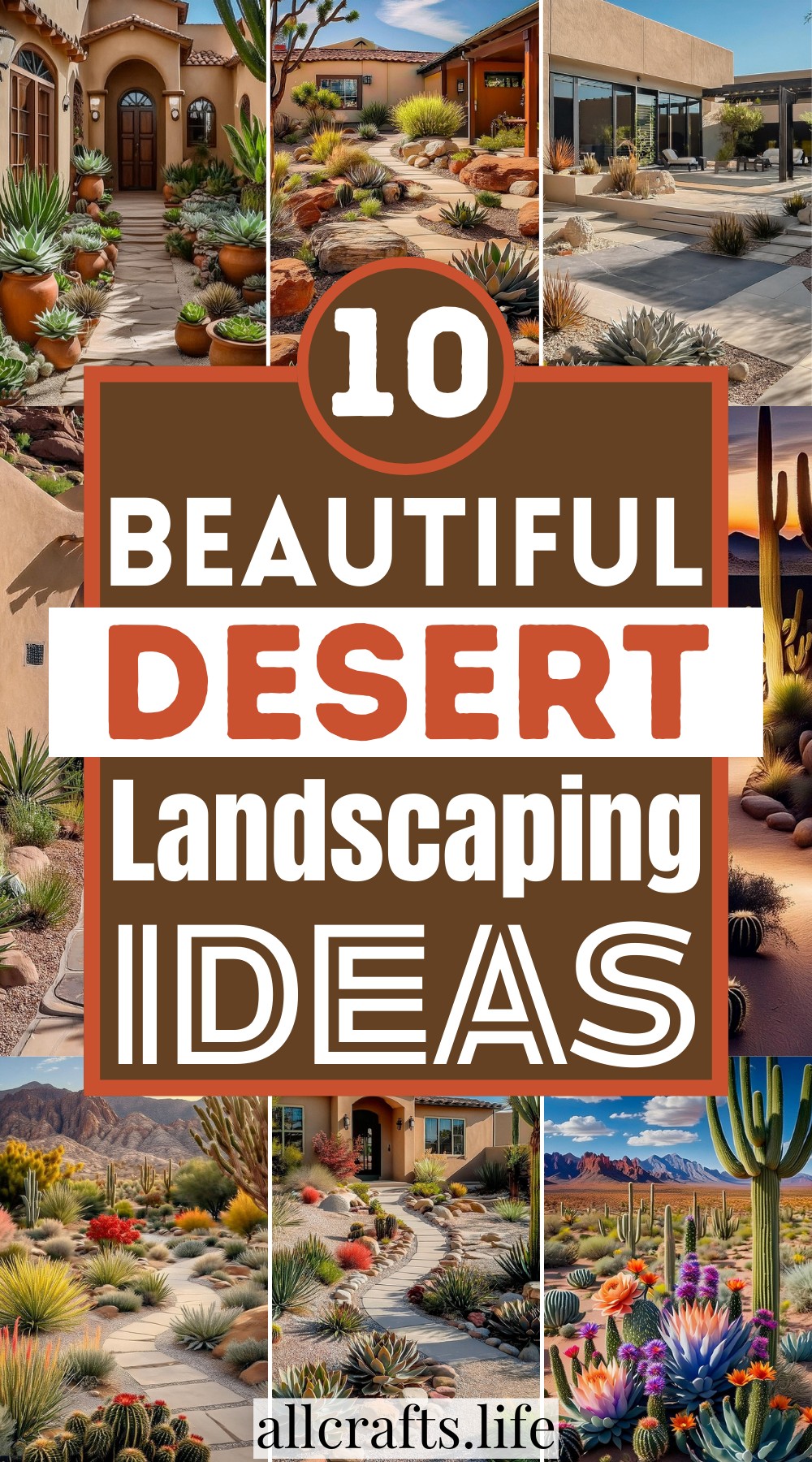 Cylindropuntia in Landscaping: Ideas for Desert Gardens
