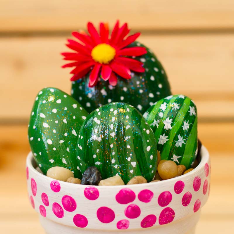 How to Create a Cactus Rock Garden: Step-by-Step Guide