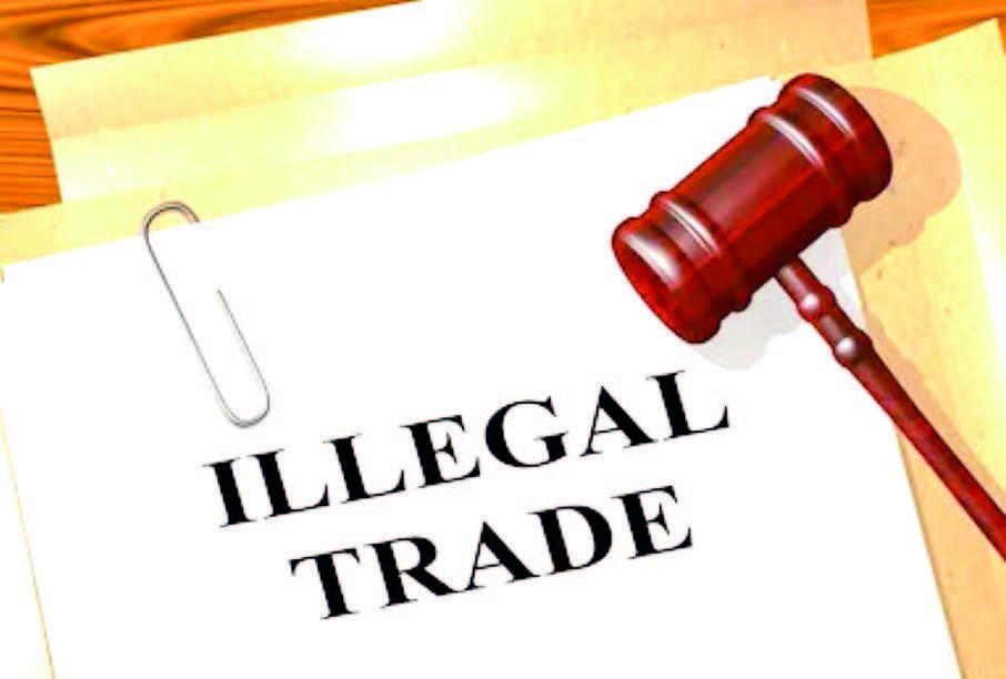 Cactus Poaching: The Illegal Trade of Rare Genera and Its Consequences
