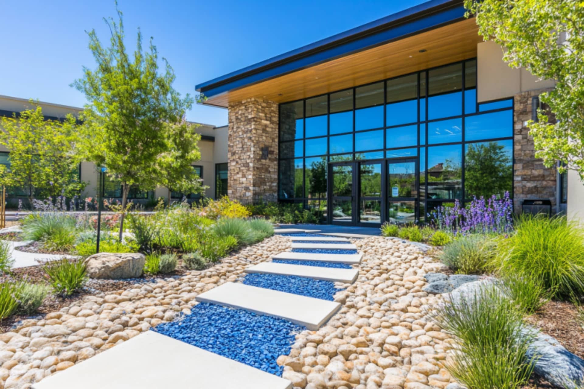 How to Use Cacti in Commercial Landscaping: Low-Water Solutions