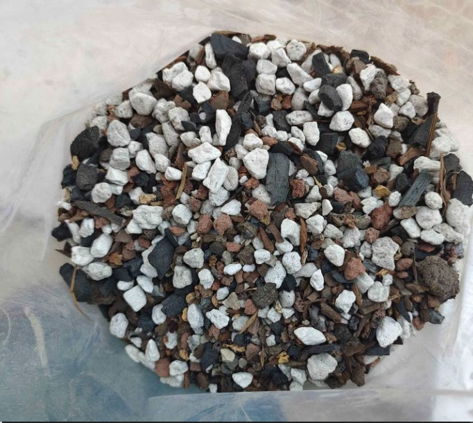The Best Soil for Cactus: What to Use and Avoid