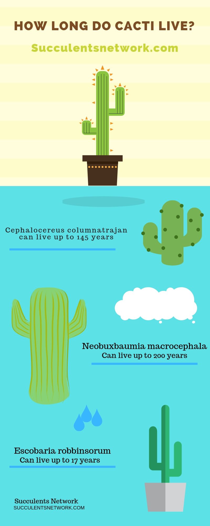 The Lifespan of Carnegiea: How Long Do Saguaro Cacti Live?