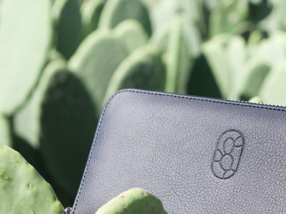 Cactus Leather: A Sustainable Alternative to Animal Hides