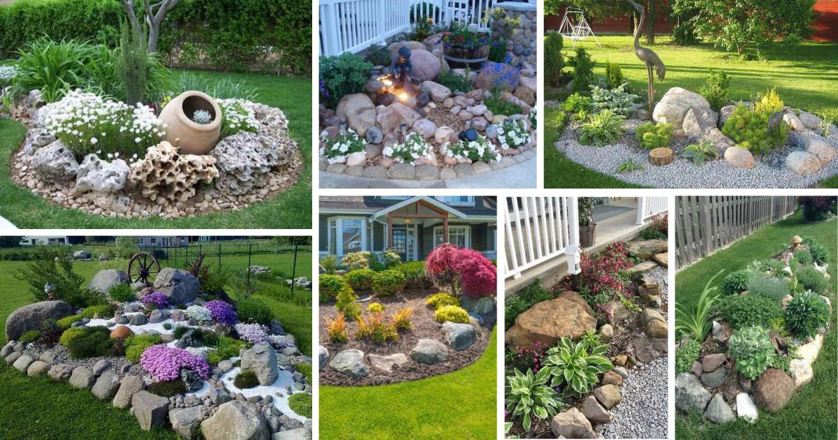 Copiapoa in Rock Gardens: Design and Placement Tips