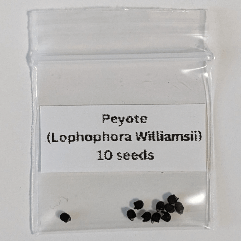 Lophophora (Peyote): Sacred Medicine and the Fight for Survival