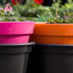 The Best Pots for Cacti: Materials
