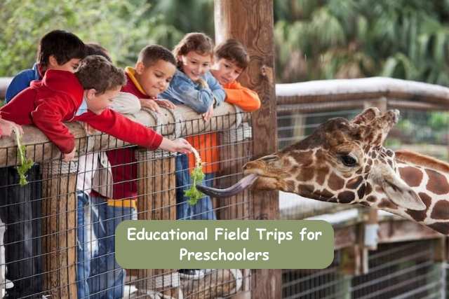 How to Host a Cactus-Themed Field Trip: Ideas and Locations