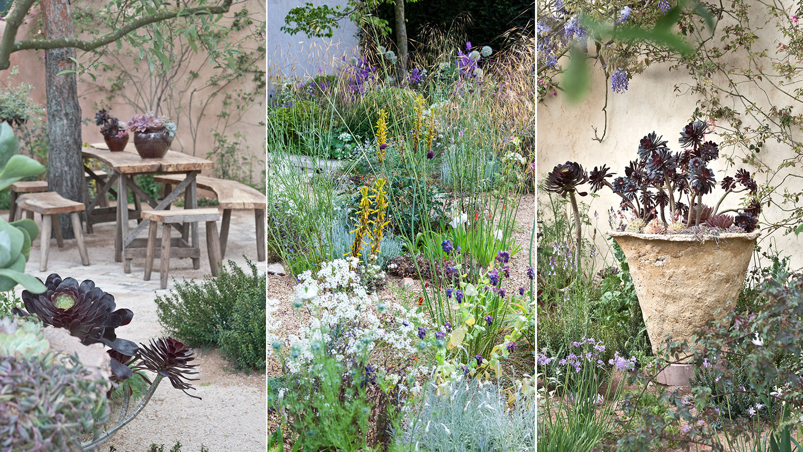 The Best Cactus for Eco-Friendly Gardens: Drought-Tolerant and Beautiful