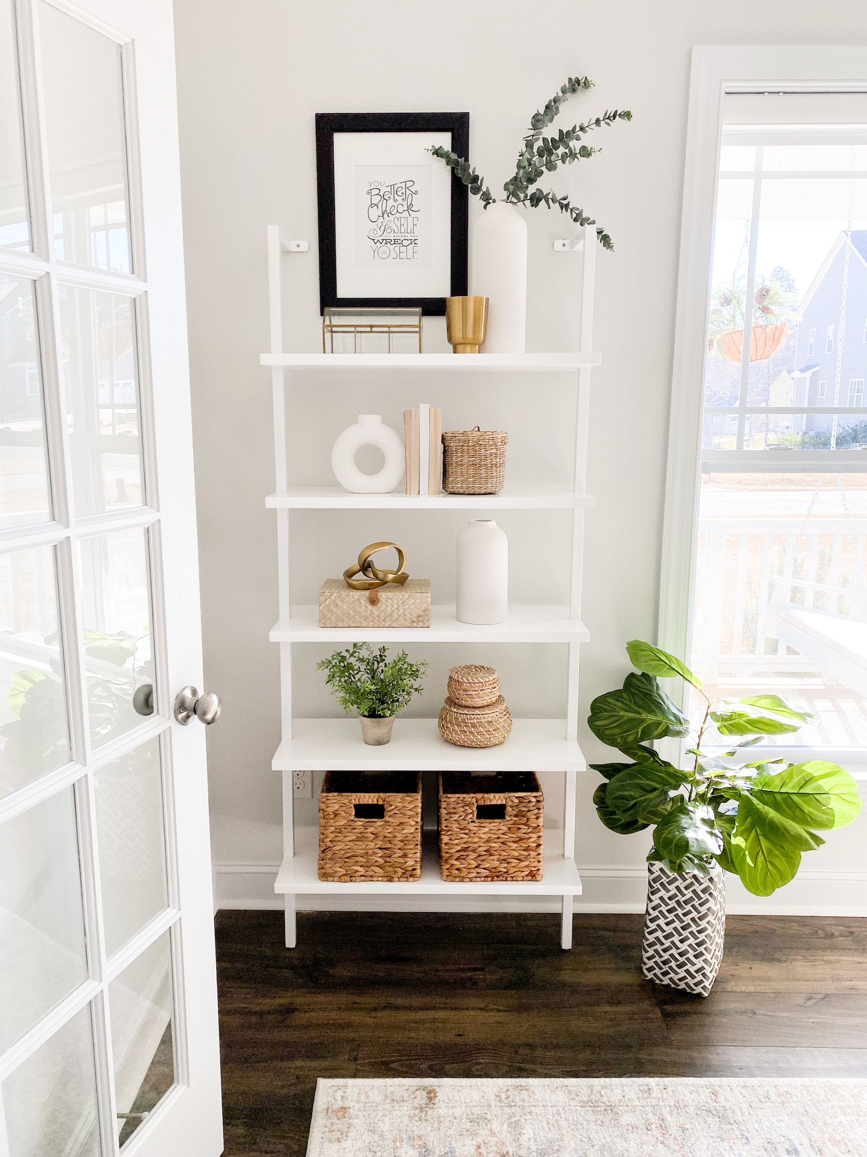 Cactus on Shelves: Styling Tips for Small Collections