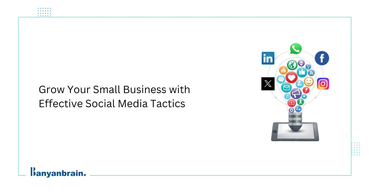 How to Market a Cactus Business Online: Social Media and SEO Tips