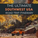 Cactus in the Southwest: A Road Trip Itinerary