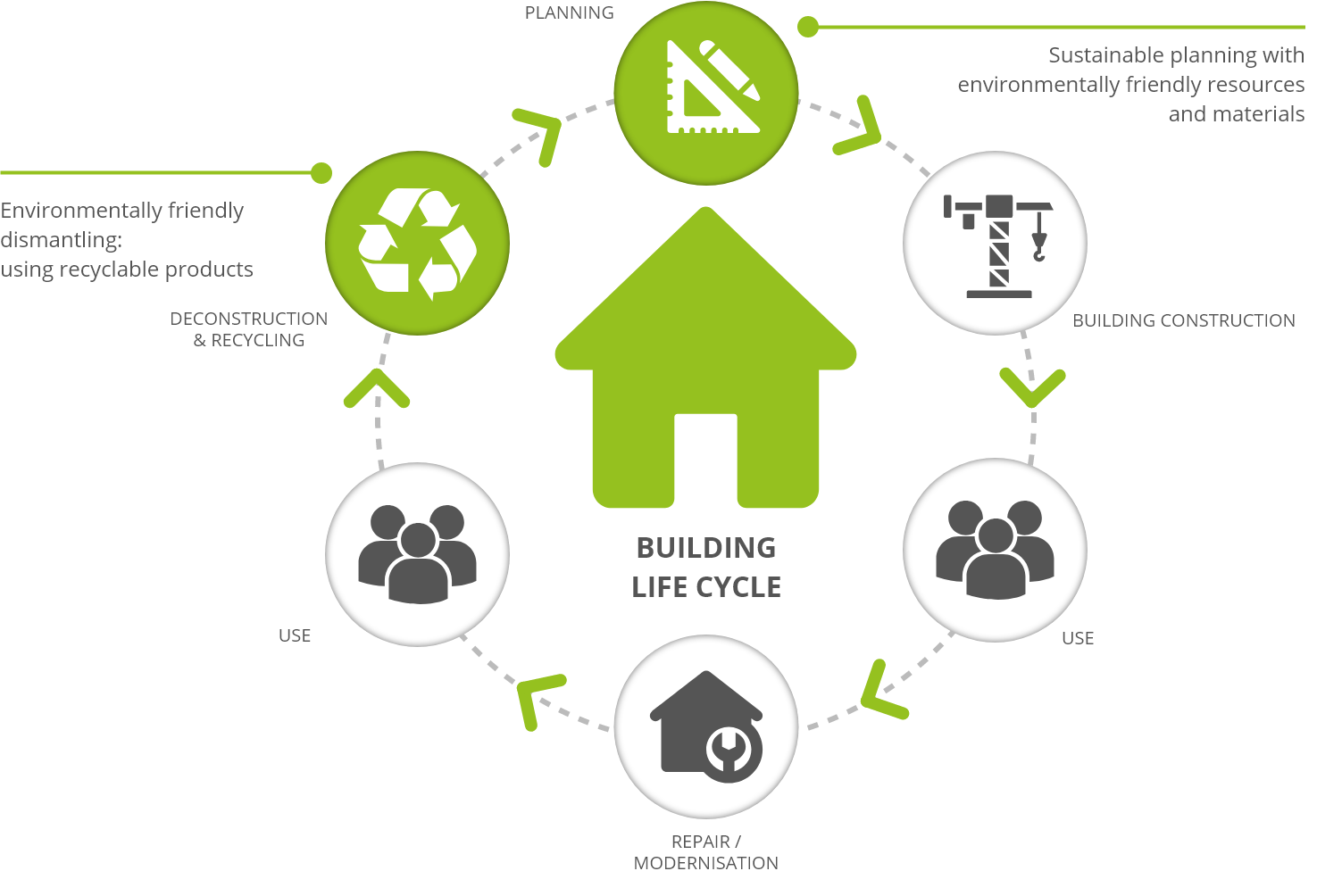 Cactus in Green Building: Sustainable Materials for Construction
