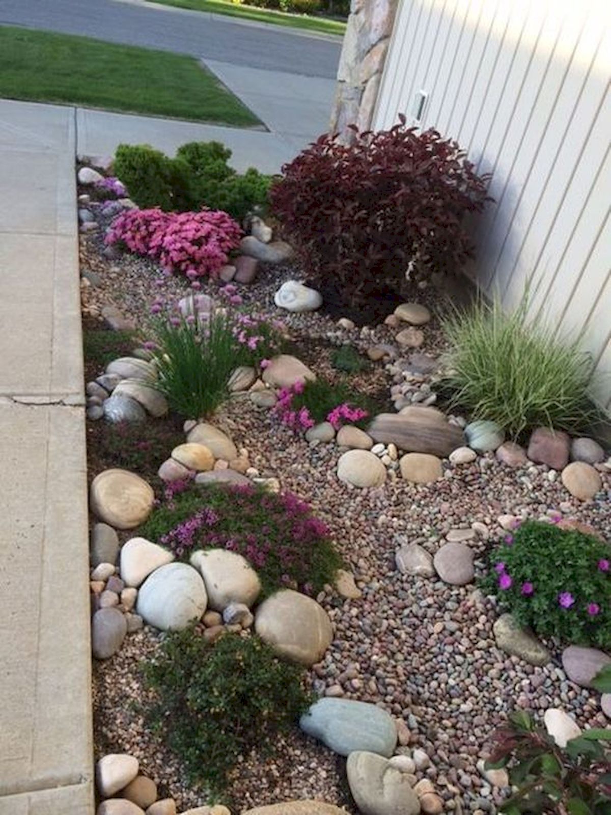 Echinocactus in Rock Gardens: Design and Placement Ideas