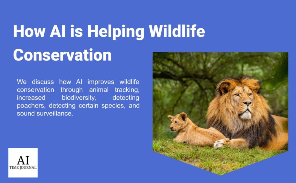 Turbinicarpus Conservation: Protecting Endangered Species