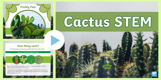 Cactus in STEM Education: Hands-On Learning