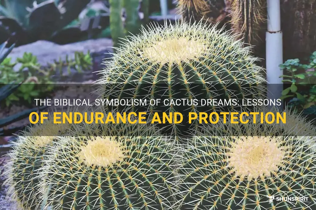Cactus in Christianity: Symbolism and Biblical References