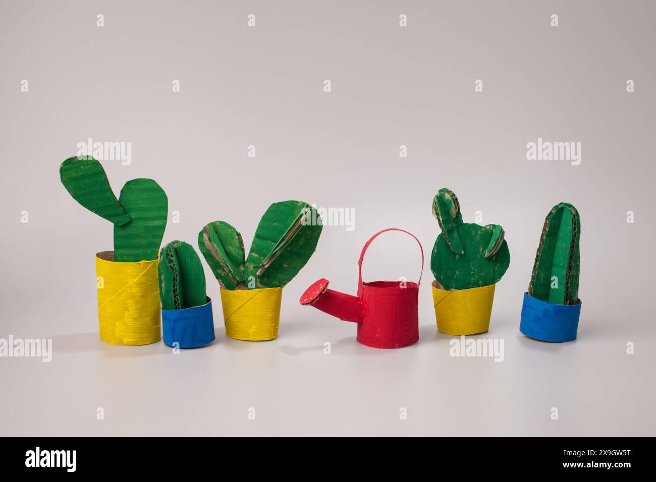 Cactus in Schools: Educational Gardens for Kids