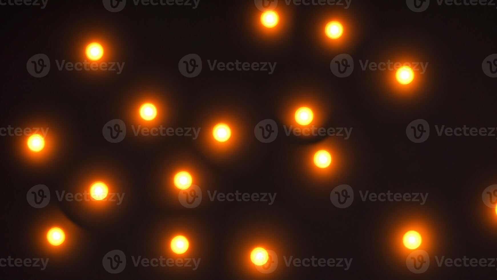 Cactus for Diwali: Symbolizing Light and Prosperity