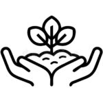 Cactus for Mother’s Day: Symbolizing Nurturing and Strength