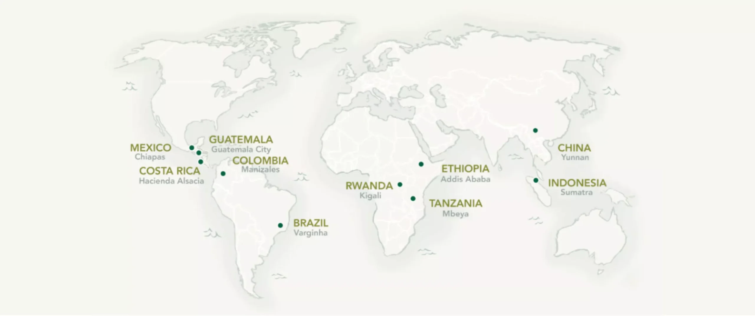 How to Support Ferocactus Conservation: Ethical Sourcing