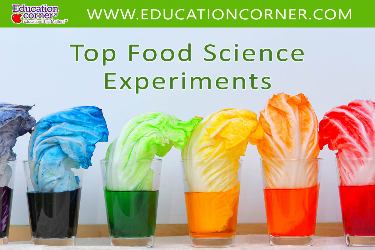 Cactus Science Experiments: Fun and Educational Activities