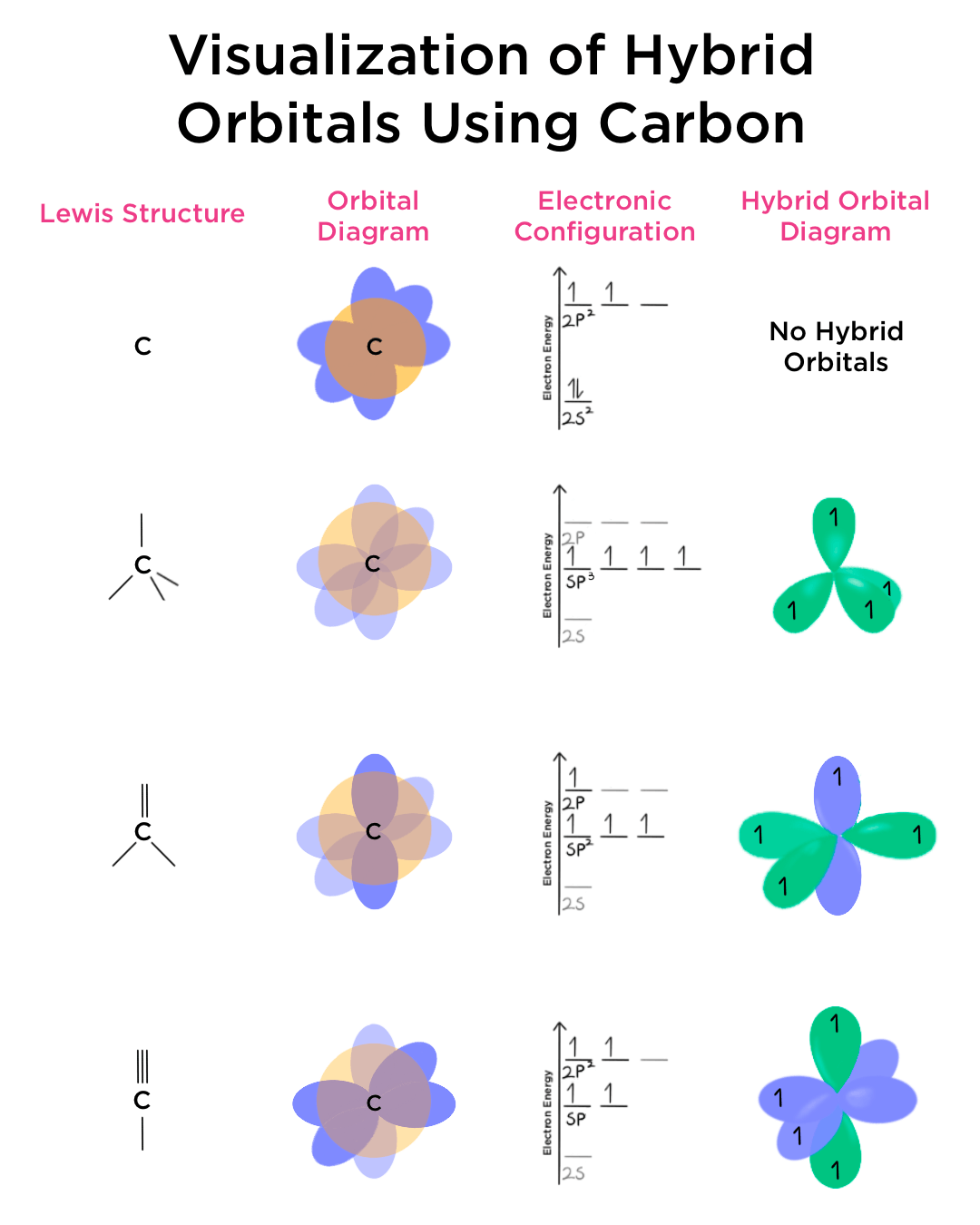 Cactus Hybridization: How New Genera Are Created
