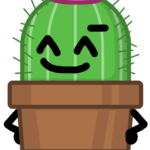 Cactus for Corporate Gifts: Professional and Unique