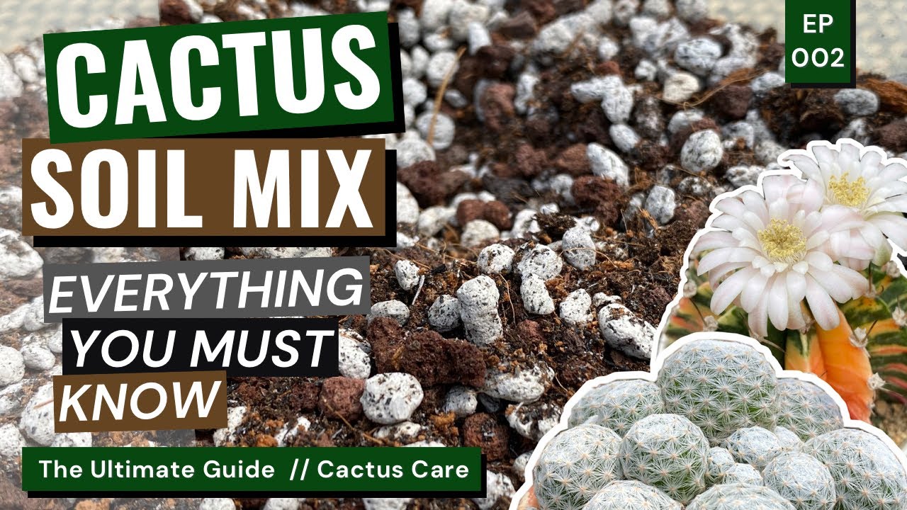 Cactus Soil Mix Recipes: Custom Blends for Different Genera