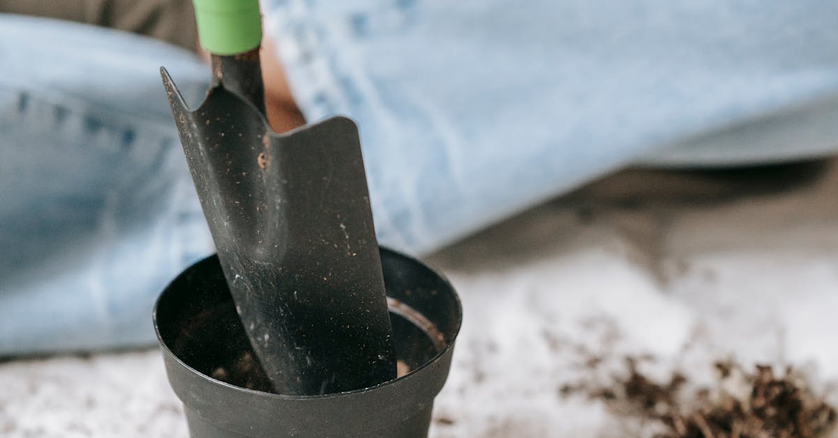 How to Propagate Cacti: A Genus-by-Genus Guide