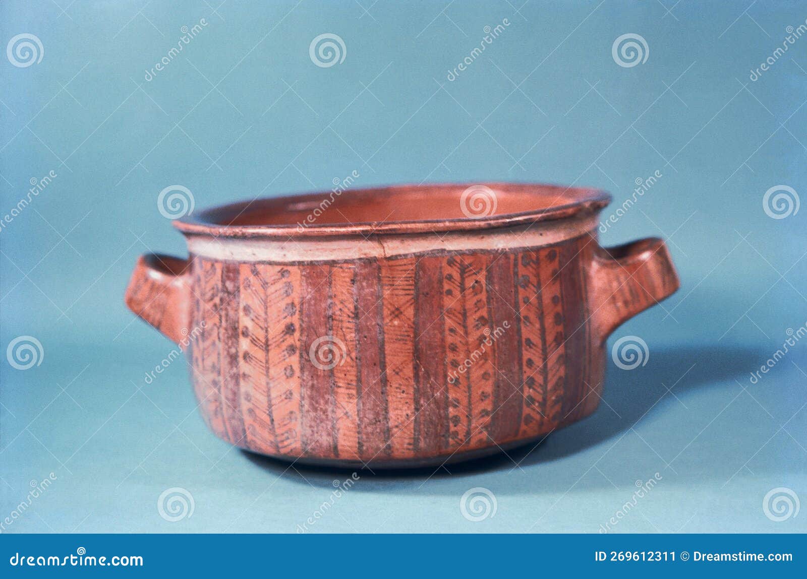 Cactus in Peruvian Culture: Ancient and Modern Uses