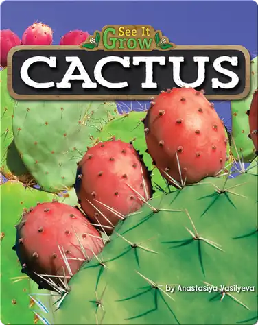 Cactus in Children’s Books: Teaching Kids About Desert Plants
