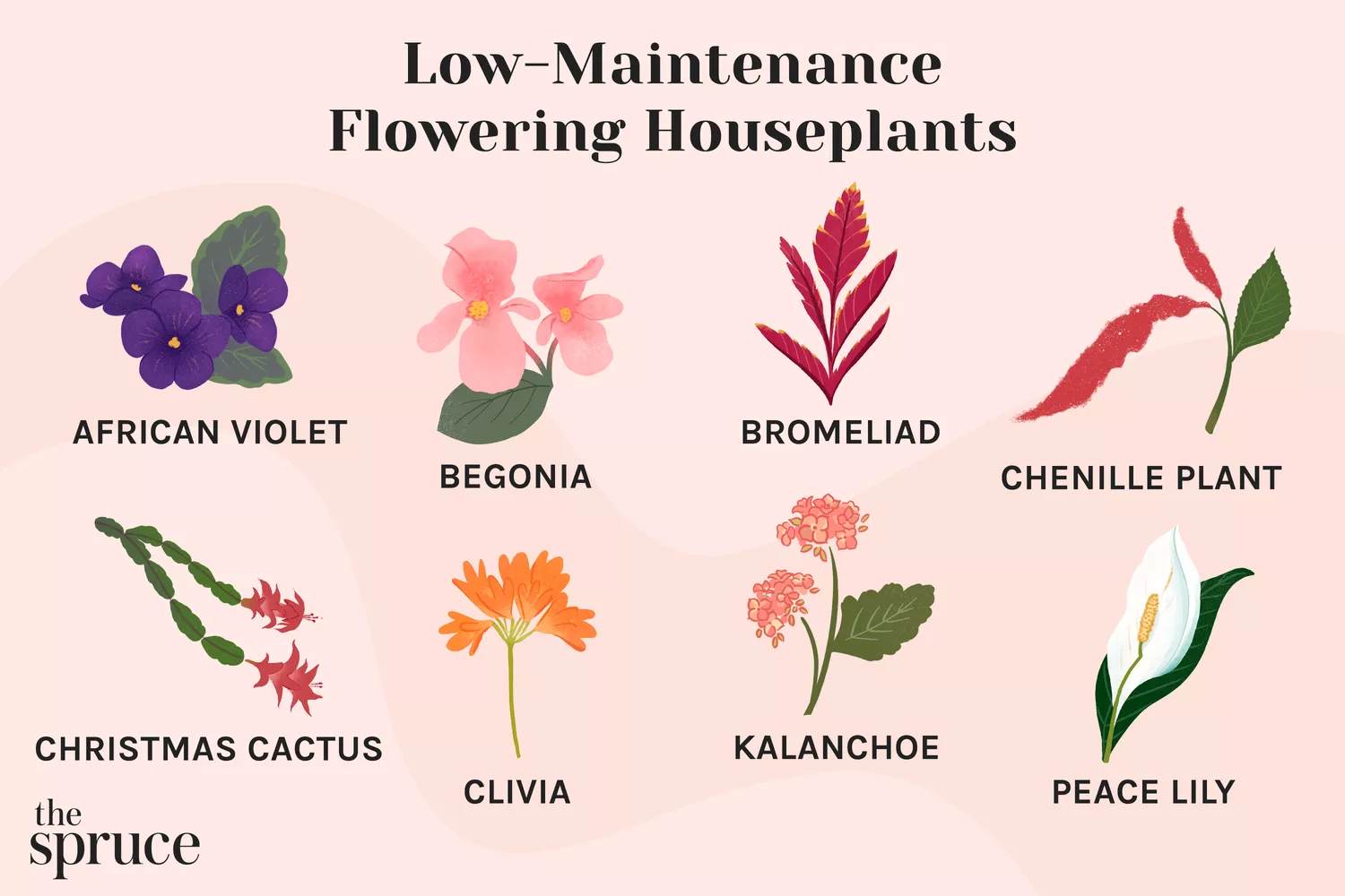 Pilosocereus Flowering: What to Expect and How to Care for Blooms